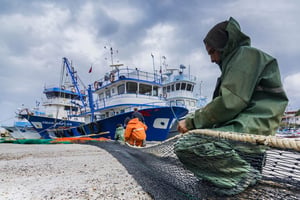 Fisherman repairing fishing nets beside modern commercial fishing boats at a harbour.